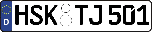 HSK-TJ501