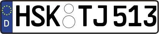 HSK-TJ513