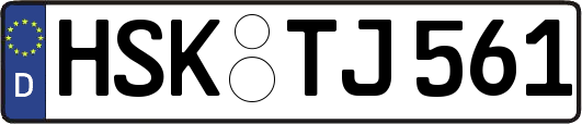 HSK-TJ561
