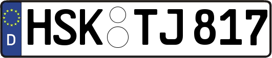 HSK-TJ817