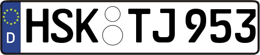 HSK-TJ953