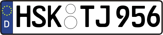 HSK-TJ956