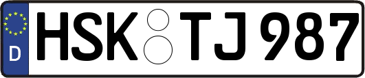 HSK-TJ987