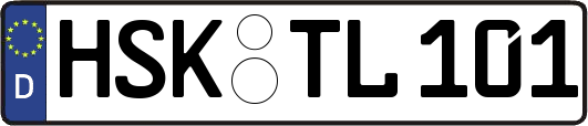 HSK-TL101