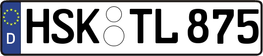 HSK-TL875