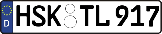 HSK-TL917