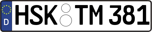 HSK-TM381