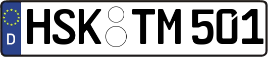 HSK-TM501