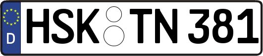 HSK-TN381