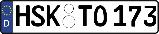 HSK-TO173