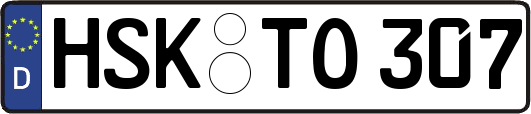 HSK-TO307