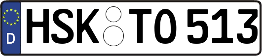 HSK-TO513