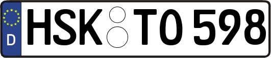 HSK-TO598