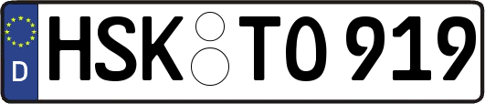 HSK-TO919
