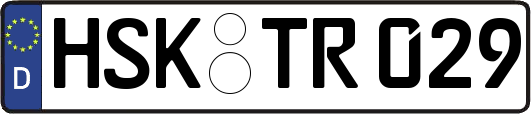 HSK-TR029