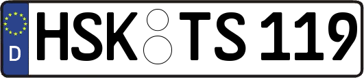 HSK-TS119