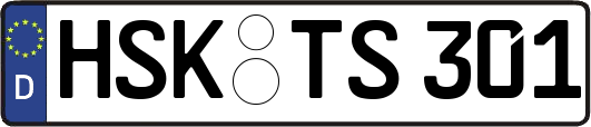 HSK-TS301