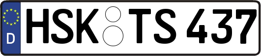 HSK-TS437