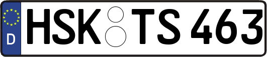 HSK-TS463