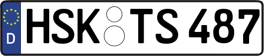 HSK-TS487