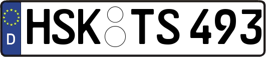 HSK-TS493