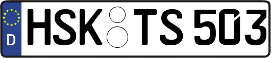 HSK-TS503