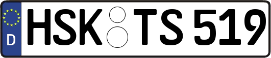HSK-TS519