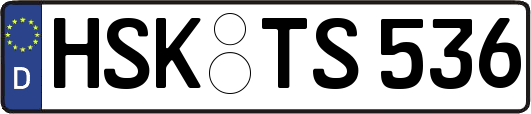 HSK-TS536