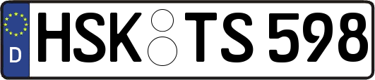 HSK-TS598
