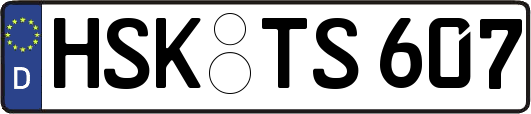 HSK-TS607