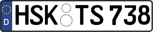 HSK-TS738