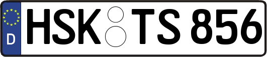 HSK-TS856