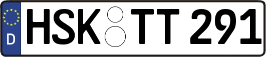 HSK-TT291