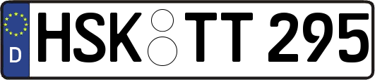 HSK-TT295