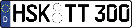 HSK-TT300