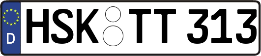 HSK-TT313
