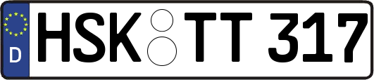 HSK-TT317