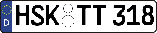 HSK-TT318