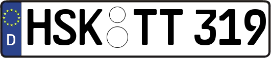 HSK-TT319