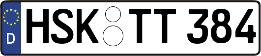 HSK-TT384