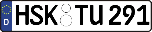 HSK-TU291
