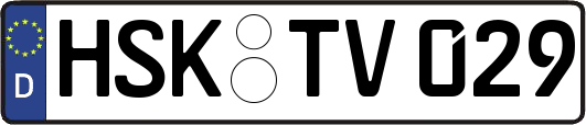 HSK-TV029