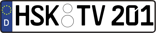 HSK-TV201