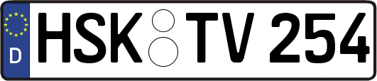 HSK-TV254