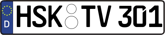 HSK-TV301