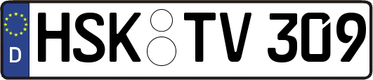 HSK-TV309
