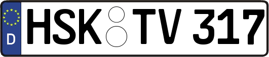 HSK-TV317