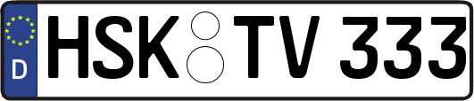 HSK-TV333