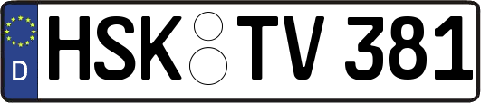HSK-TV381