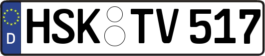 HSK-TV517